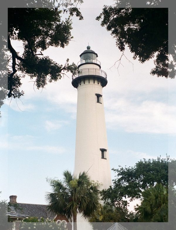 Beacon Through the Palms