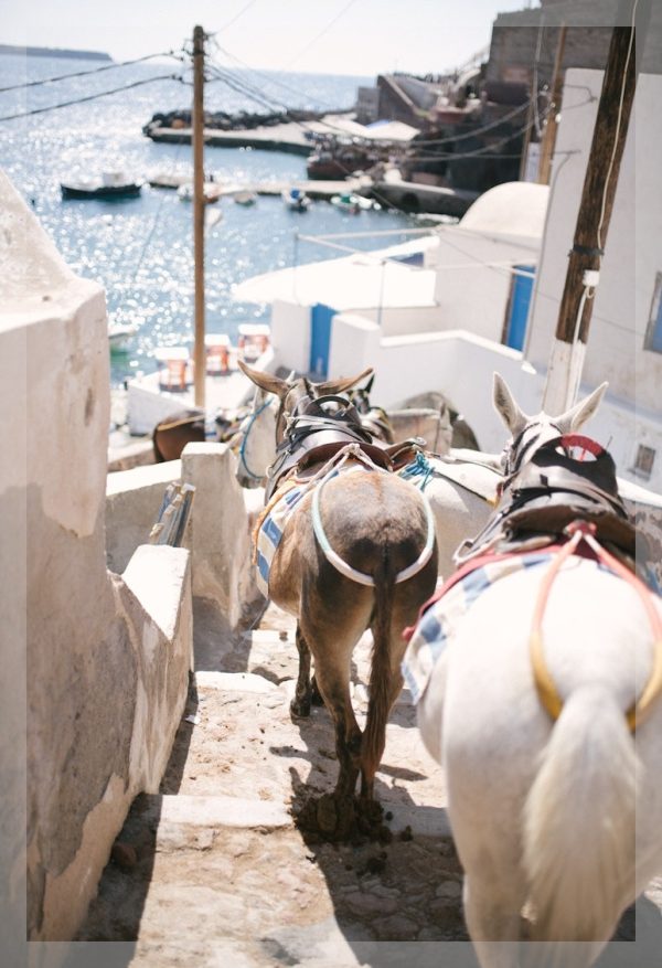 Pathway Companions of Santorini