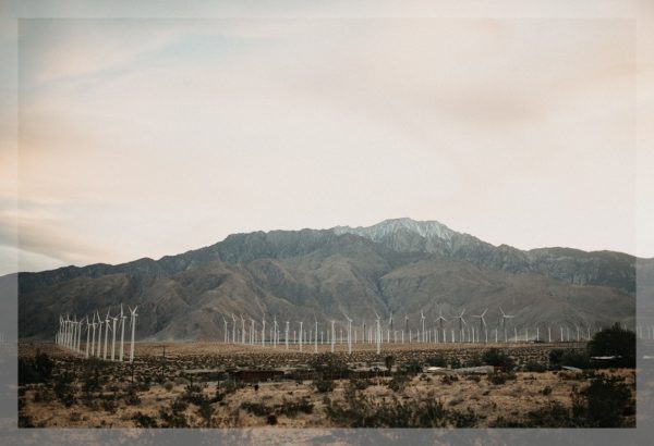 Desert Currents